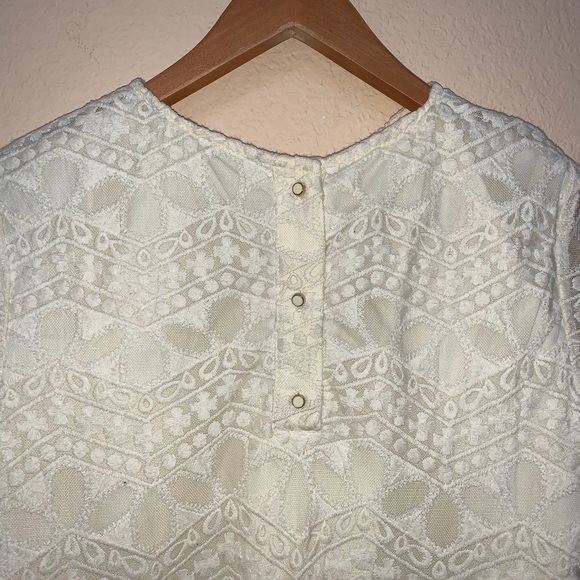Zara Beige Cream Lace Short Sleeve Dress Small - Picture 6 of 8